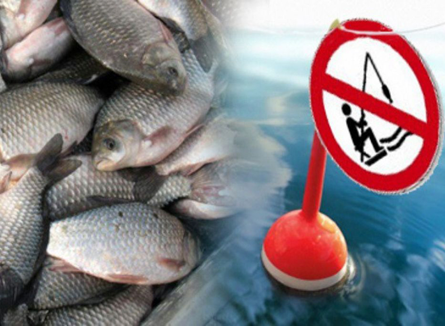 Ограничения  на ловлю рыбы во время нереста.