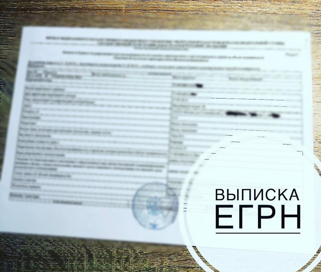 Выписка из ЕГРН защитит интересы покупателя.