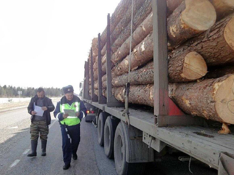 Ответственность за нарушение порядка транспортировки древесины железнодорожным и внутренним водным транспортом.