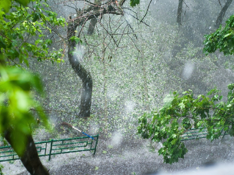 Экстренное предупреждение.