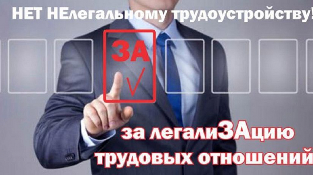 Неформальная занятость: последствия отсутствия трудового договора для работодателя и работника.
