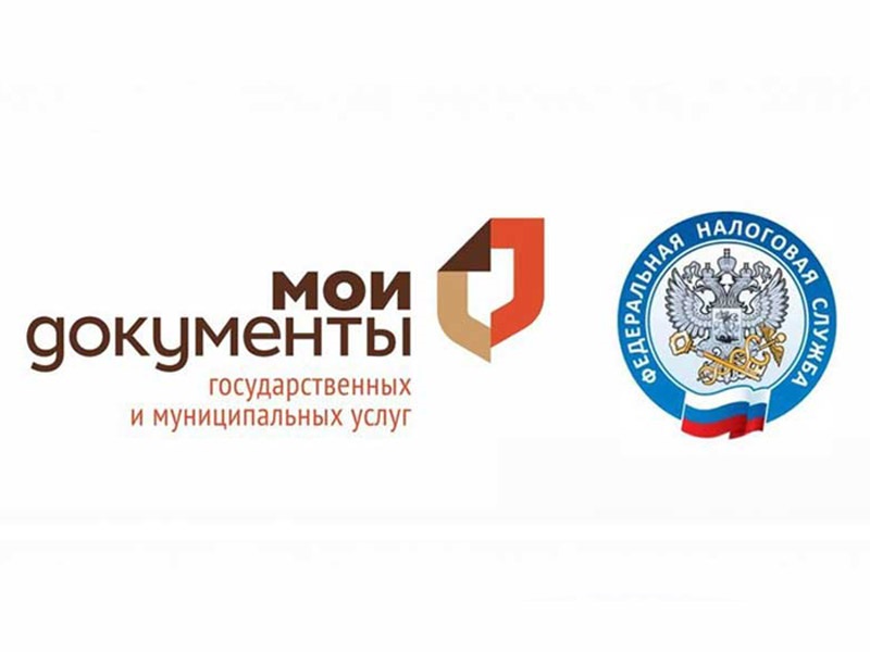 Получить услуги налоговой службы можно в МФЦ и на сайте ФНС России!.