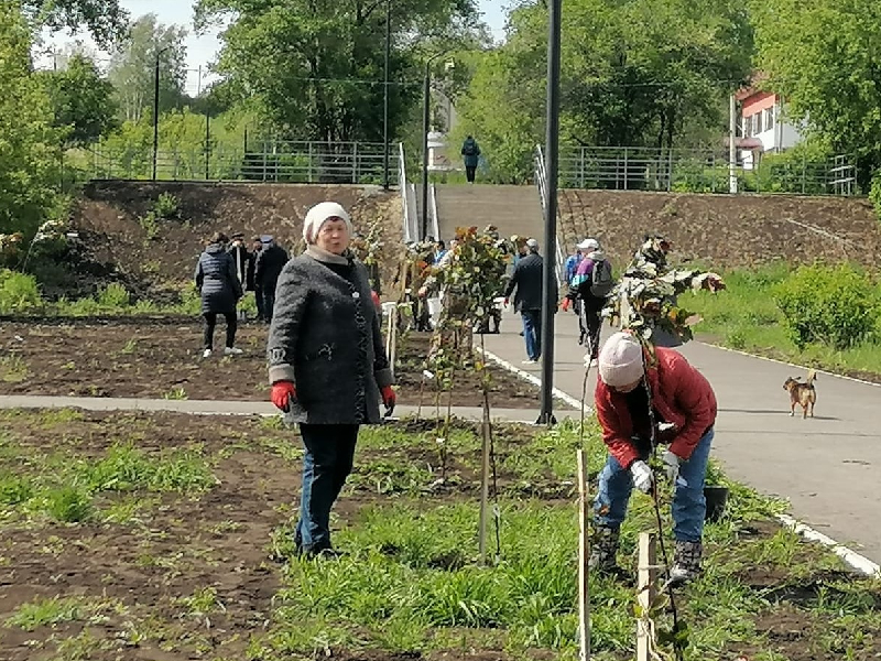 «Сад памяти» высадили в поселке Дубинино.
